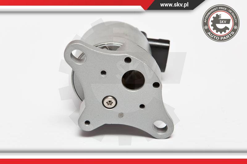 Esen SKV 14SKV042 - Izpl. gāzu recirkulācijas vārsts www.autospares.lv