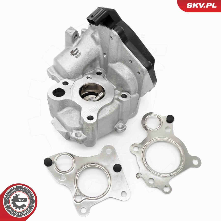 Esen SKV 14SKV259 - Izpl. gāzu recirkulācijas vārsts www.autospares.lv