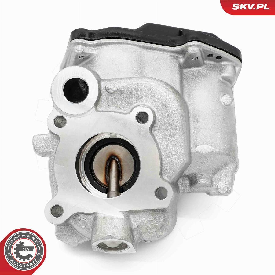 Esen SKV 14SKV259 - Izpl. gāzu recirkulācijas vārsts www.autospares.lv