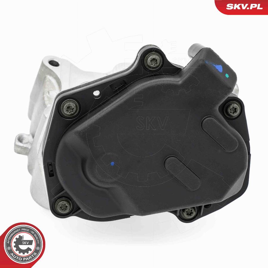 Esen SKV 14SKV259 - Izpl. gāzu recirkulācijas vārsts www.autospares.lv