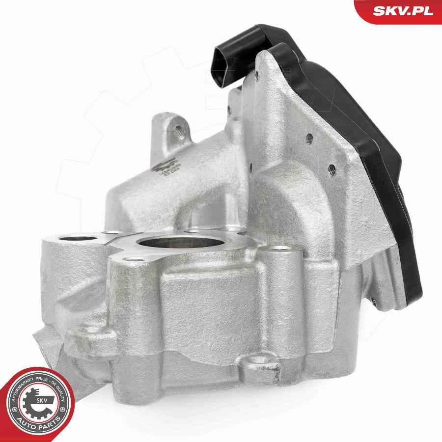 Esen SKV 14SKV259 - Izpl. gāzu recirkulācijas vārsts www.autospares.lv