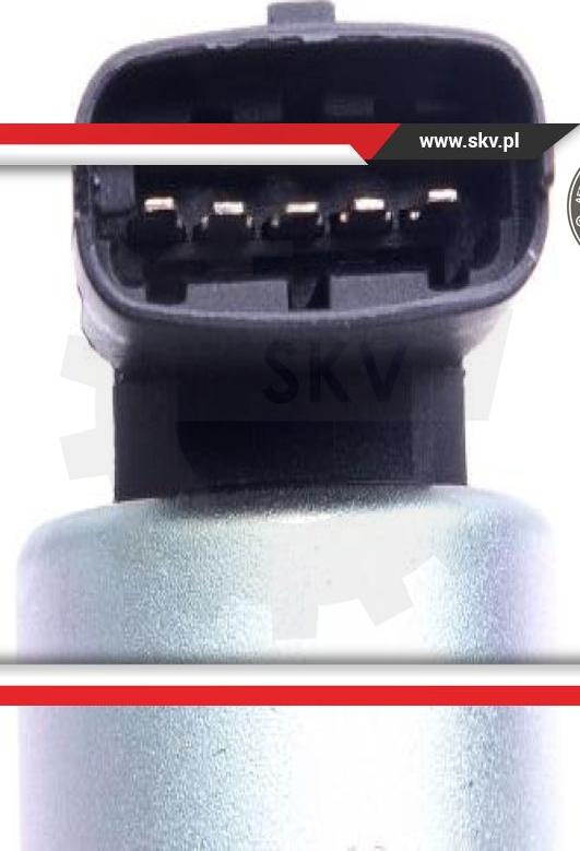 Esen SKV 14SKV207 - Izpl. gāzu recirkulācijas vārsts www.autospares.lv