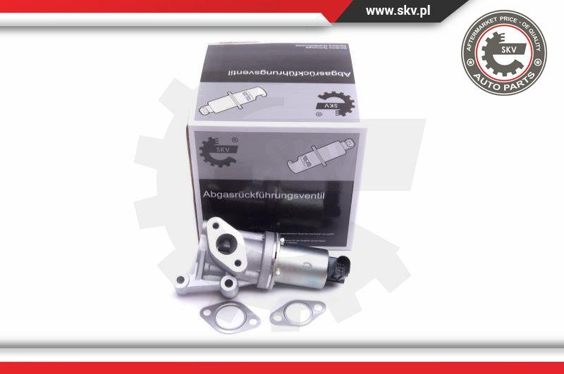 Esen SKV 14SKV213 - Izpl. gāzu recirkulācijas vārsts www.autospares.lv