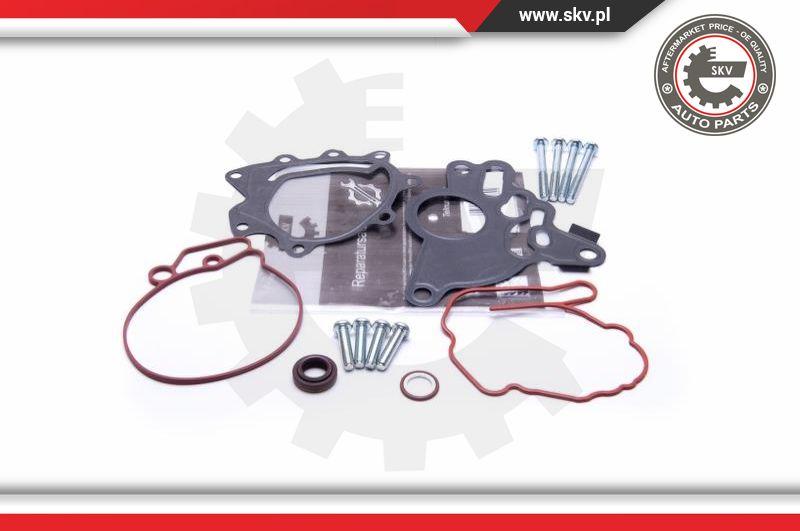 Esen SKV 18SKV804 - Ремкомплект, вакуумный насос (тормозная установка) www.autospares.lv