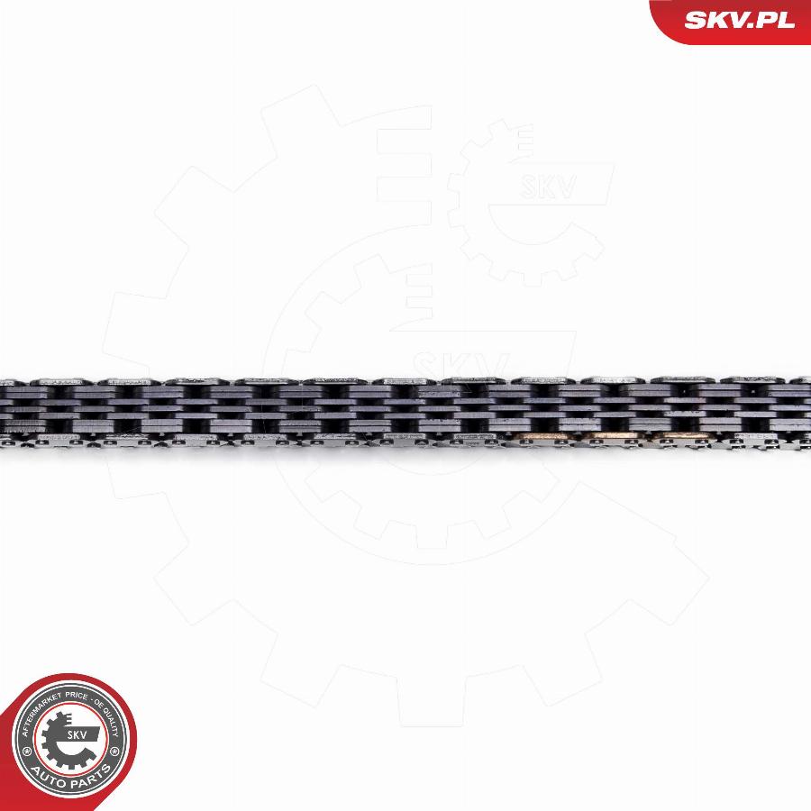 Esen SKV 21SKV270 - Sadales vārpstas piedziņas ķēdes komplekts www.autospares.lv