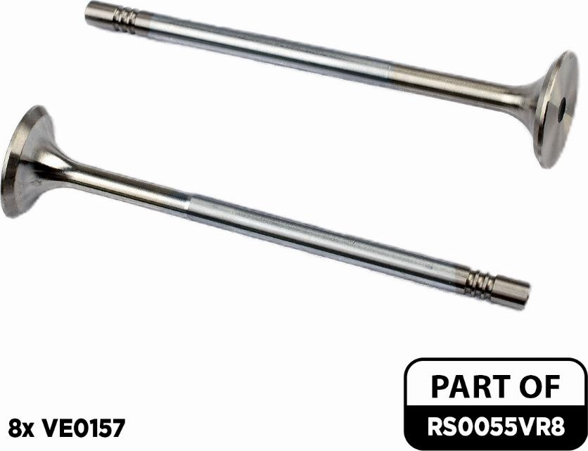 ET Engineteam RS0055VR8 - Sadales vārpstas piedziņas ķēdes komplekts www.autospares.lv