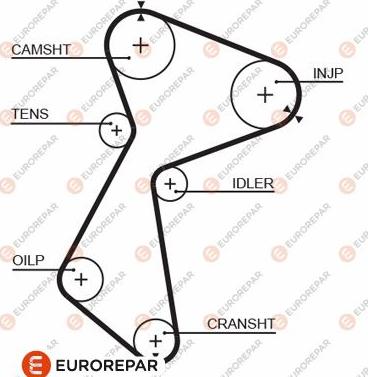 EUROREPAR 1633140080 - Timing Belt www.autospares.lv