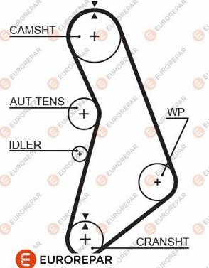 EUROREPAR 1633134780 - Timing Belt www.autospares.lv