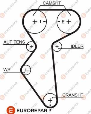 EUROREPAR 1633132580 - Timing Belt www.autospares.lv