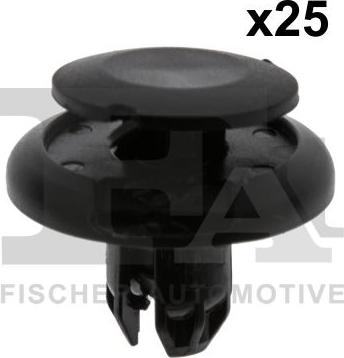 FA1 77-20006.25 - Moldings / aizsarguzlika www.autospares.lv