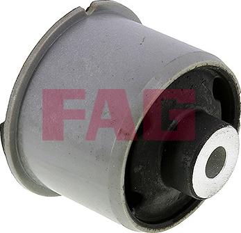 FAG 829 0561 10 - Piekare, Tilta sija www.autospares.lv