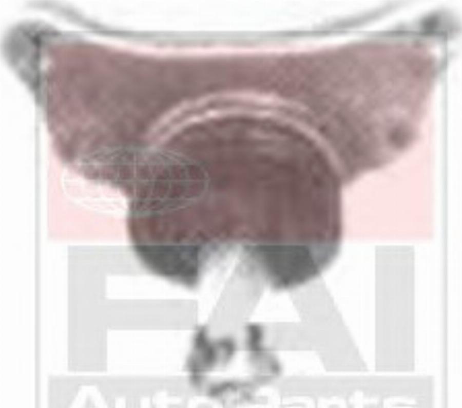 FAI SS5358 - --- www.autospares.lv