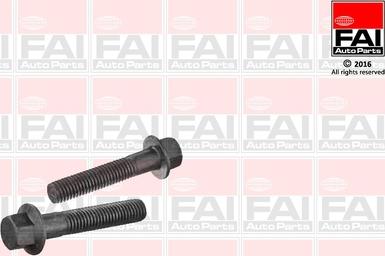 FAI AutoParts SS9254BK - Fastening Bolts, control arm www.autospares.lv