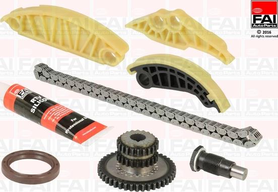 FAI AutoParts TCK175 - Комплект цепи привода распредвала www.autospares.lv