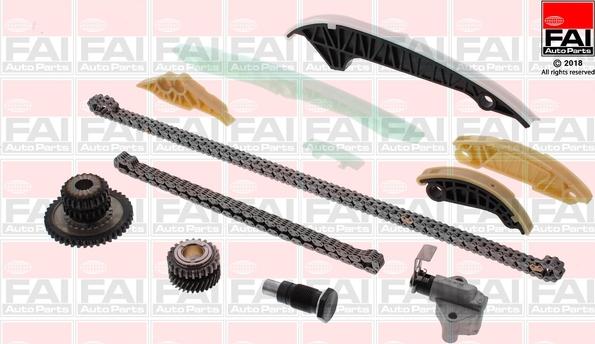 FAI AutoParts TCK306NG - Комплект цепи привода распредвала www.autospares.lv