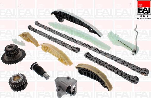 FAI AutoParts TCK212LNG - Комплект цепи привода распредвала www.autospares.lv