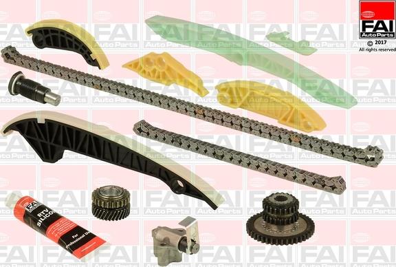 FAI AutoParts TCK222NG - Комплект цепи привода распредвала www.autospares.lv