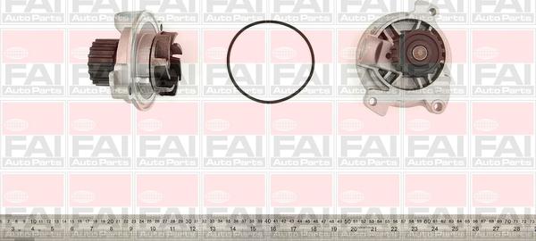 FAI AutoParts WP6065 - Ūdenssūknis autospares.lv