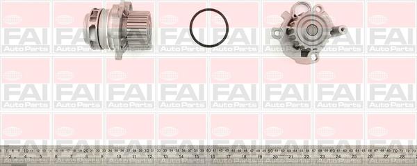 FAI AutoParts WP6129 - Water Pump www.autospares.lv