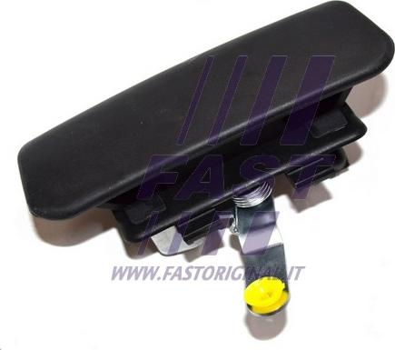 Fast FT94565 - Durvju rokturis www.autospares.lv