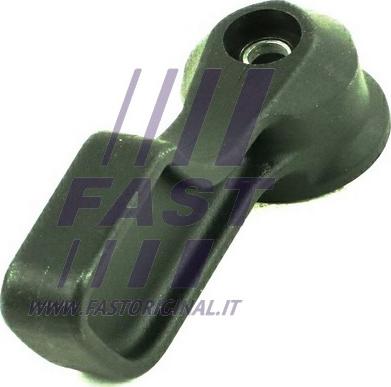 Fast FT94581 - Durvju rokturis www.autospares.lv