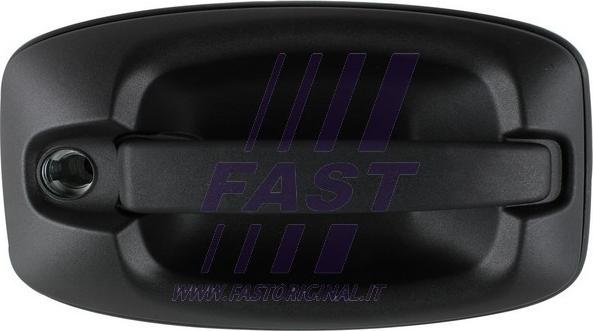 Fast FT94583 - Durvju rokturis www.autospares.lv