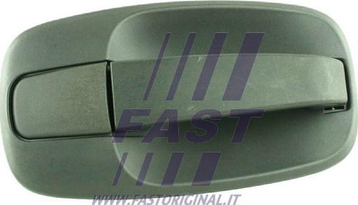 Fast FT94577 - Durvju rokturis www.autospares.lv