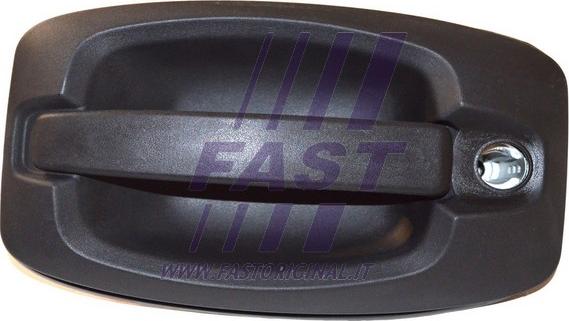 Fast FT94394 - Durvju rokturis www.autospares.lv