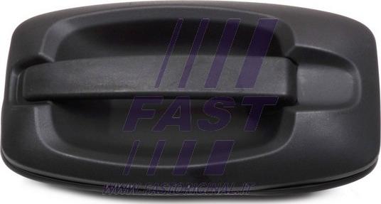 Fast FT94390 - Durvju rokturis www.autospares.lv