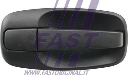 Fast FT94306 - Durvju rokturis www.autospares.lv