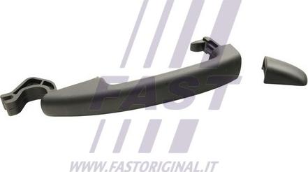 Fast FT94314 - Durvju rokturis www.autospares.lv