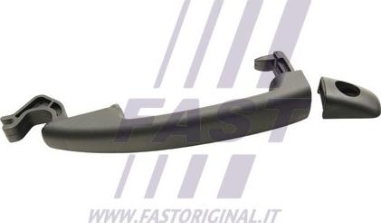 Fast FT94311 - Durvju rokturis www.autospares.lv