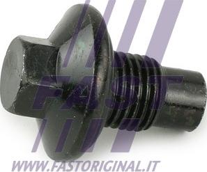 Fast FT94735 - Korķis, Eļļas vācele autospares.lv