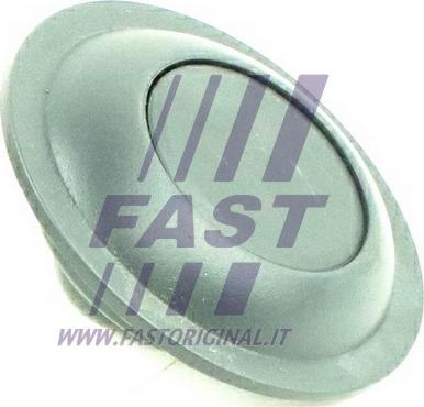 Fast FT95590 - Slēdzenes poga www.autospares.lv