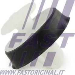 Fast FT96309 - Moldings / aizsarguzlika www.autospares.lv