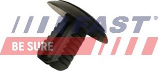 Fast FT96324 - Moldings / aizsarguzlika www.autospares.lv