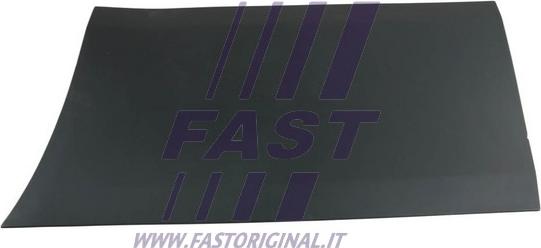 Fast FT90919 - Apdare / Aizsarguzlika, Durvis www.autospares.lv