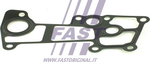 Fast FT49904 - Blīve, Dzesēšanas šķidruma flancis www.autospares.lv