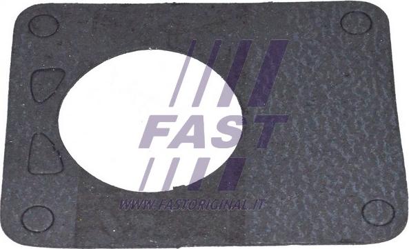 Fast FT49901 - Blīve, Vakuumsūknis www.autospares.lv