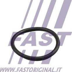 Fast FT49919 - Blīvgredzens, Dzesēšanas šķidruma cauruļvads www.autospares.lv