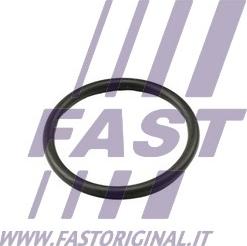 Fast FT49917 - Blīve, Termostats www.autospares.lv