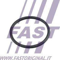 Fast FT49920 - Blīve, Dzesēšanas sķidruma cauruļvads www.autospares.lv