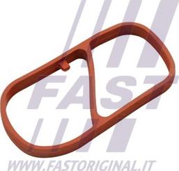 Fast FT49454 - Blīve, Ieplūdes kolektors www.autospares.lv