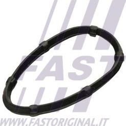 Fast FT49457 - Blīve, Izplūdes kolektors www.autospares.lv