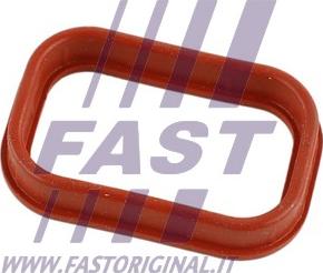 Fast FT49435 - Blīve, Ieplūdes kolektors www.autospares.lv