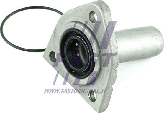 Fast FT49840 - Blīvgredzens, Eļļas noliešanas korķis www.autospares.lv