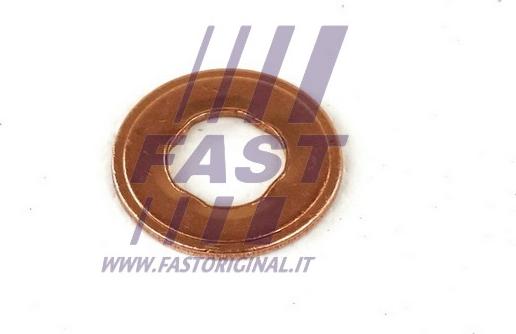 Fast FT49847 - Blīve, Sprauslas korpuss www.autospares.lv