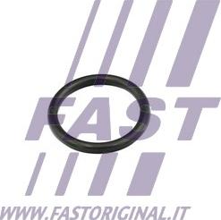 Fast FT49856 - Blīve, Dzesēšanas šķidruma flancis www.autospares.lv