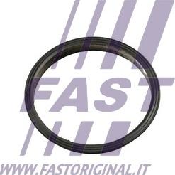 Fast FT49853 - Blīve, Vakuumsūknis www.autospares.lv