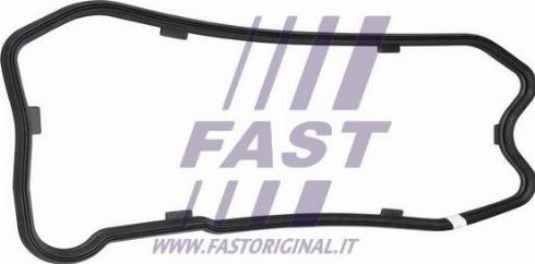 Fast FT49238 - Blīve, Eļļas vācele www.autospares.lv